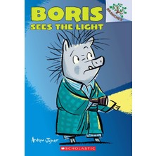 Zemira Boris Sees The Light: A Branches Book (Boris #4) (Volume 4)