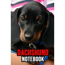 Zemira Dachshund Notebook: Journal / Diary / Notepad, Gifts For Dog Lovers (Lined, 6" x 9")