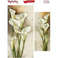 Store Telatransfer TT-K018 25X35CM