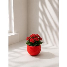 Store Mini Yuvarlak Dekoratif Saksı, Kırmızı