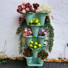 Store 5 Katlı Şanslı Yonca Kule Saksı Seti Çiçek Bitki Sebze Meyve Salon Mutfak Banyo Bahçe Saksı Seti (Mint Yeşili)