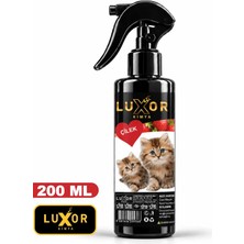 Luxor Kimya Kedi Parfümü Çilek Aromalı 200 ml