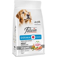 Catmania Somonlu Az Tahıllı 3k Yetişkin Köpek Maması Felicia