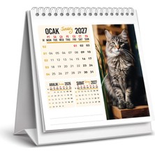 Naturel Basım 2027 Kedi Masa Takvimi