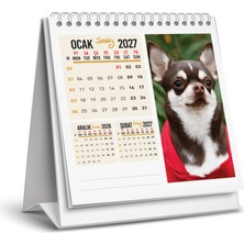 Naturel Basım 2027 Köpek Masa Takvimi