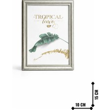 Parlak Kenar Çerçeve Gümüş 15X10 cm