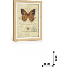 Ince Kenar Çerçeve Krem 15X10 cm