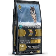 Catmania Adult Dog Medium Large Lamb,blueberry 12 kg Pro Perf.
