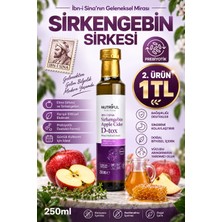 Nutriful İbn-i Sina Aromalı Sirkengebin Apple Cider 250 ml Prebiyotik Menşei ile Detox