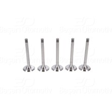 Volkswagen Golf 1993 - 1997 Passat 1993 - 1996 Audi A4 2000 - 2005 A6 1994 - 1997 1.9 Tdı Subap Valfi Emme 5'li Set