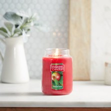Yankee Candle Macintosh Elma Büyük Kavanoz Mum - Ferah, Tatlı - Ekşi Koku 623.7 gr