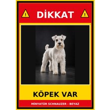 Ti Play Minyatür Schnauzer - Beyaz Dikkat Köpek Var Levhası 35X50 cm Uv Baskılı Pvc Uyarı Tabelası