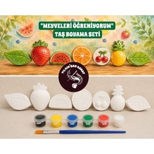 Meyveleri Öğreniyorum Taş Boyama Seti (7 Obje + 6 Renk Boya + 1 Fırça + Boyama Sertifikası)