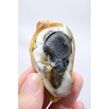 Healcrystal Küçük Sarı Dendritik Opal Jeotizmi, Doğal "göz" Oluşumu ve Siyah Druzy Çekirdeği, 38G