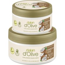 Dalan D Olive Vitamin Kompleks Hindistan Cevizi Canlandırıcı Bakım Kremi 250 ml + 150 ml