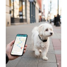 Linber Evcil Hayvan Gps Takip Cihazı | Kedi & Köpek Için Konum Belirleyici | Suya Dayanıklı, Sesli Uyarı