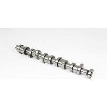Bsg Eksantrık Mılı (Dovme Celık) - T5 04-10
