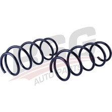Bsg Helezon Yayı On - Megane Iı 01-12
