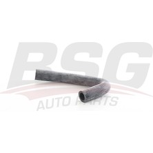 Bsg Turbo Yaglama Hortumu Yag Buhar Emıcı Hortumu Kısa - Kangoo I 97-