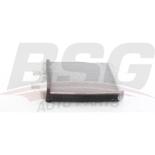 Bsg Kalorıfer Radyatoru Brazıng (220X257X26) - Daıly Iıı-Iv 99-