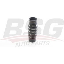 Bsg Turbo Hortumu Plastık Boru Harıc 2 Kat Polyester Kullanılmıstır - Clıo Iıı/modus 04-