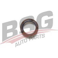 Bsg Krank Kecesı On 31X41X7 Vıton - Doblo Stılo Bravo Marea Alfa 147 156 Opel Astra H Vectra C 01-