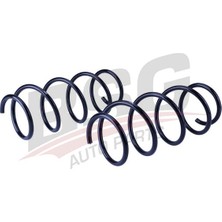 Bsg Helezon Yayı On - Megane Iı 02-09
