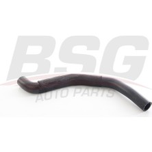 Bsg Radyator Hortumu Ust - Laguna Iı 02-