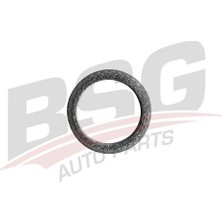 Bsg Egzos Bogaz Contası Orgulu (Orjınal Halka) - R9 00-