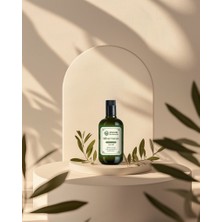 Ulysses Silver Green-Soğuk Sıkım Zeytinyağı (500 Ml)