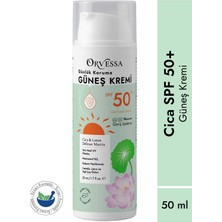 Orvessa Cica Güneş Kremi SPF50+