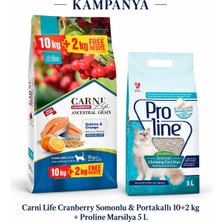 Carni Life Cranberry Somonlu Portakallı Kısır Kedi Maması 10+2 kg + Proline Marsilya 1 x 5 L