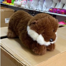 Bengi Store Peluş Kahverengi Uyku Arkadaşı Yatan Susamuru Büyük Boy Su Samuru Peluş 50 cm Pelüş