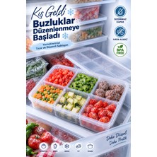 Grimor Life 1 Adet 2,1 Lt 6 Bölmeli Derin Dondurucu Difriz Saklama Kabı - Buzdolabı Düzenleyici Buzluk Erzak Kabı