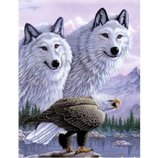 Pileli Store 3 Boyutlu Resim  Kartallı Kurt Resmi Tablosu 40X60 cm