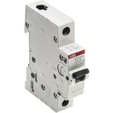ABB 2CDS211001R0254 Otomatik Sigorta SH201-C 1X25A 6ka