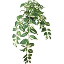 IKEA Fejka Yapay Bitki , Yeşil, 12 Cm, Telgraf Çiçeği, Iç-Dış Mekan