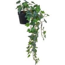 IKEA Fejka Yapay Bitki , Yeşil, 12 Cm, Sarmaşık, Iç-Dış Mekan