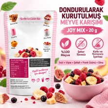 Küçük Hazine Fresh Dondurularak Kurutulmuş Joy Mix 20 G