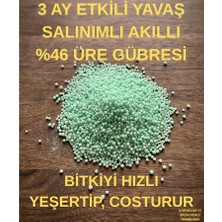 Sağlam Tarım İnhibitörlü Üre (Yavaş Salınımlı N46 - NBPT), Akıllı Çim Gübresi