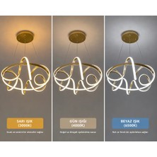Verona Modern Gold LED Sarkıt Avize 3 Renkli Dekoratif Tasarım
