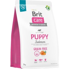 Brit Care Skin  Coat, Deri ve Tüy Hassasiyeti Olan Yavru Köpekler Için, Tahılsız, Somon Balıklı Kuru
