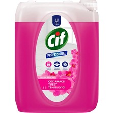 2 Adet Cif Professional Yüzey Temizleyici 5 Litre