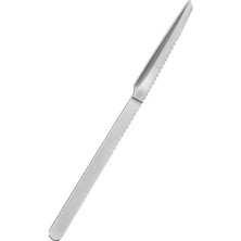 Sunup SN-38806 13 cm Paslanmaz Çelik Nasır ve Ölü Deri Kazıyıcı