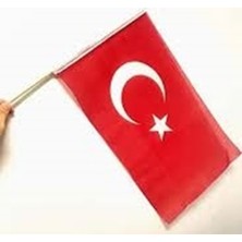 Vatan 9 Eylül Sopalı Alpaka Bez Bayrak 20X30