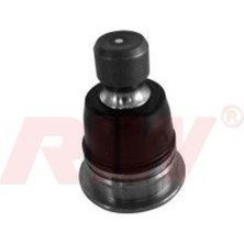 RIW Mixdepo Rotil Koleos 08-15 Qashqai-X-Trail 07-14