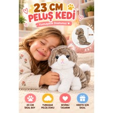 Toyfest 23 cm Gri Peluş Kedi Oyuncak Yumuşak Sevimli Kedi Figürlü Çocuk Oyuncağı Doğum Günü Hediyesi Seti