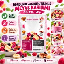 Store Fresh Dondurularak Kurutulmuş Fun Mix 20 G