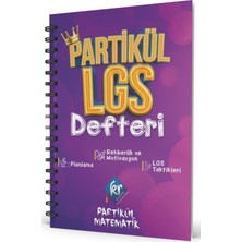 Vionna Partikül Lgs Planlama Defteri
