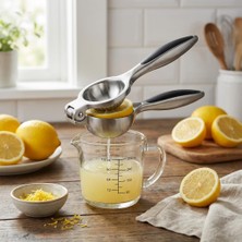 Vionna Deconox Profesyonel Paslanmaz Çelik Limon Sıkacağı, Manuel Narenciye ve Limon Presi, Ergonomik Kollu, Kolay Yıkanabilir, Büyük Boy (24 Cm) Mat Doku